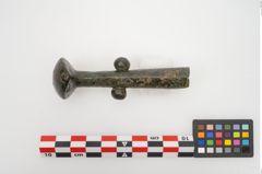 Foto von Bronzeortband (NHMW-PRAE-025457)